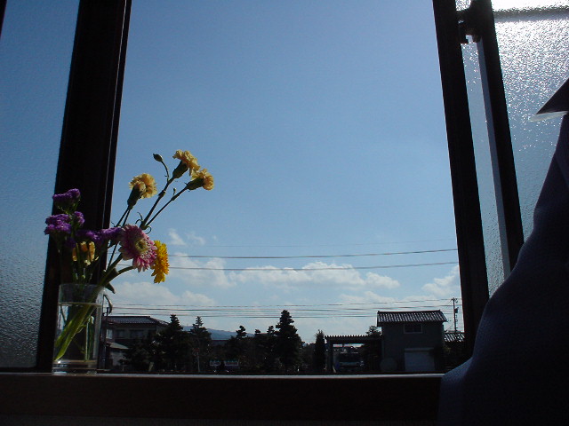d0019264_016811.jpg