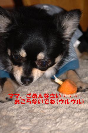 f0065768_19225423.jpg