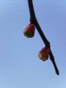 e0037673_22342337.jpg