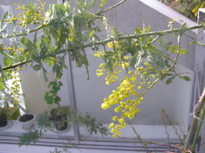 d0041074_23531339.jpg