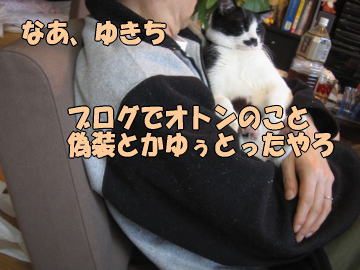 b0041182_647278.jpg