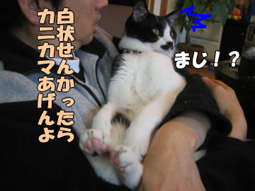 b0041182_6473650.jpg