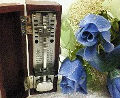 c0069988_2335257.jpg