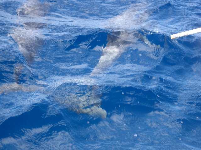 a0023189_14504328.jpg