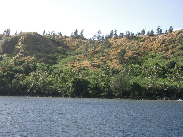 a0023189_1451010.jpg