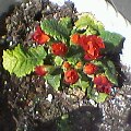 f0016090_11293461.jpg