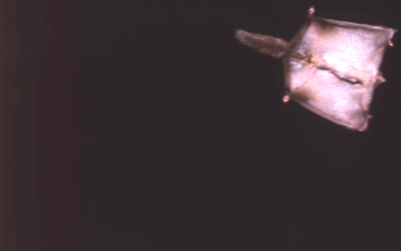 f0047593_10295091.jpg