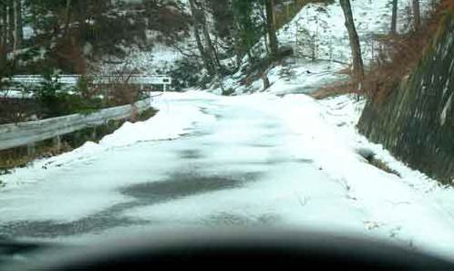 e0001110_5504952.jpg