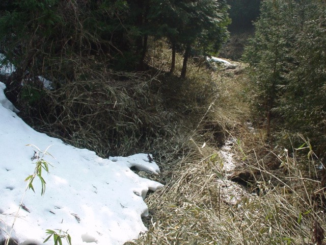 d0004627_18283257.jpg