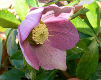 f0061334_1925261.jpg