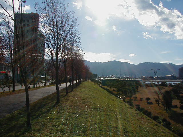 a0013236_10395752.jpg