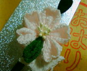 c0056237_0132158.jpg