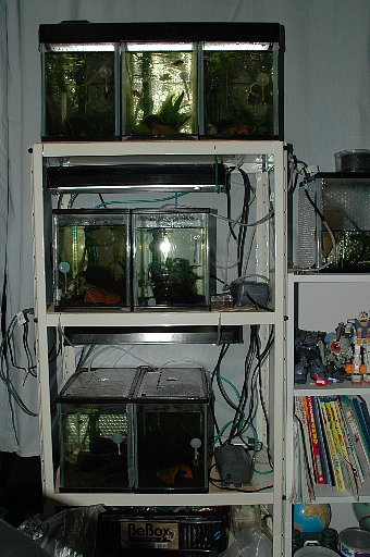 f0003540_21101110.jpg