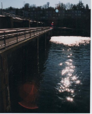 f0082452_1462953.jpg