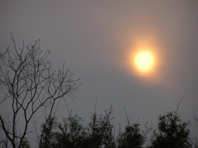 a0052156_20155758.jpg