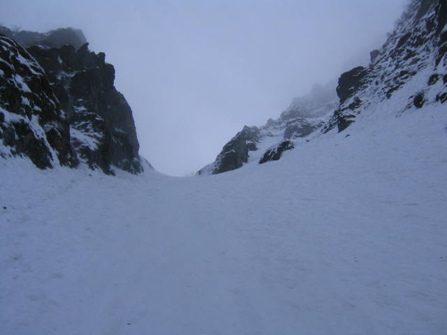 d0007657_14354459.jpg