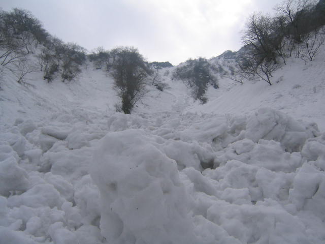 d0007657_14441996.jpg