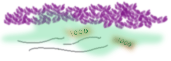 c0016987_18374053.gif