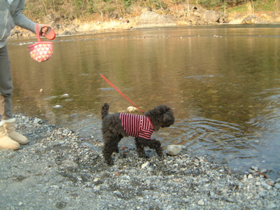 a0011999_22582364.jpg