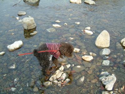 a0011999_2305019.jpg