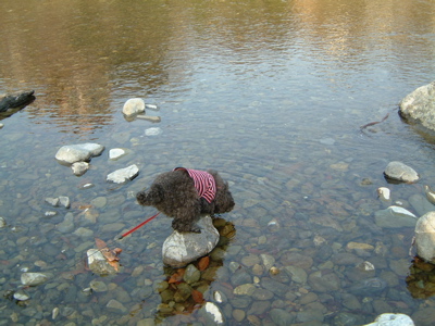 a0011999_2322781.jpg