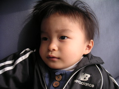 e0087210_2050541.jpg