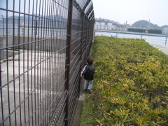e0087210_2104122.jpg