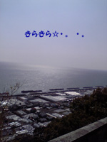 d0048140_2215548.jpg