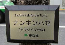 f0065941_20542012.jpg