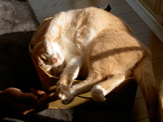 e0058443_0112263.jpg