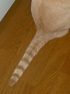 e0058443_021313.jpg