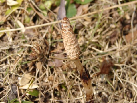 b0061261_2132629.jpg