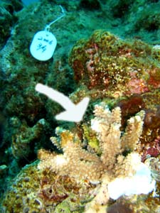 b0062363_21381255.jpg