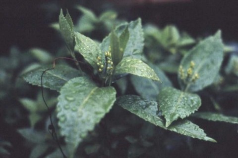 f0055668_643680.jpg