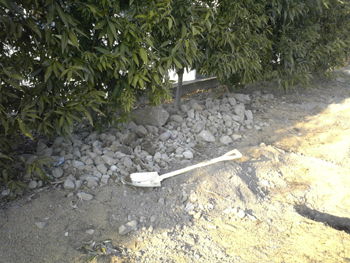 e0001170_2374536.jpg