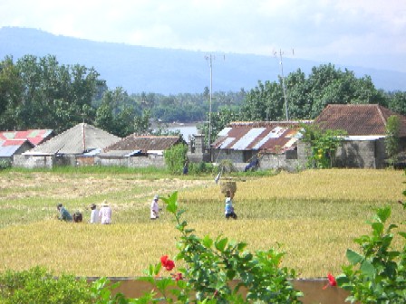 d0028677_22164380.jpg