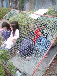 c0046281_1891542.jpg
