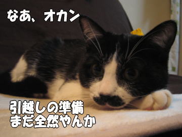b0041182_6565566.jpg