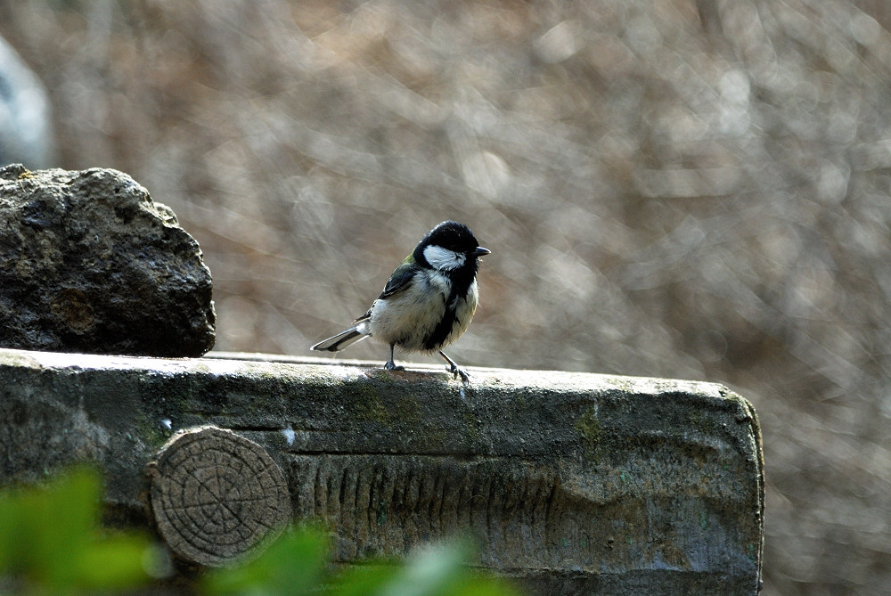 d0011587_21203350.jpg
