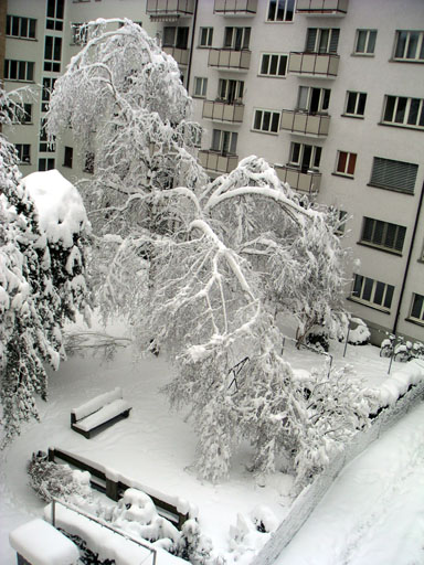 b0038588_0231981.jpg
