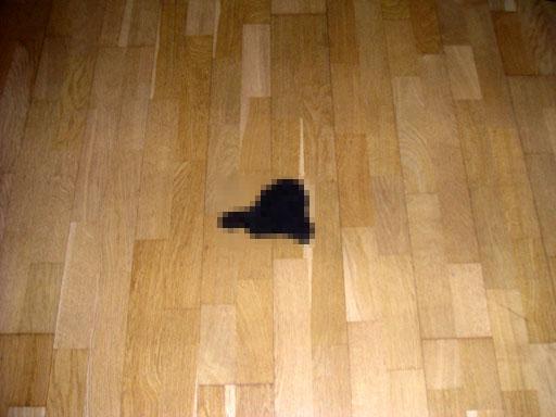 b0038588_0343633.jpg