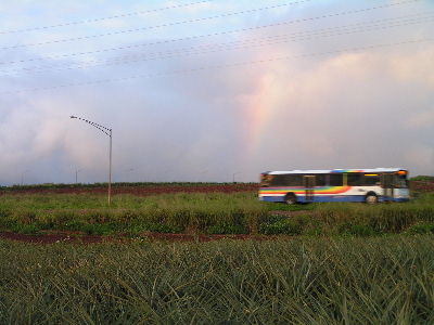 d0032693_413068.jpg