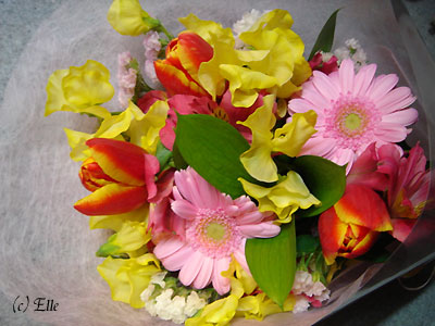 b0000801_2318929.jpg
