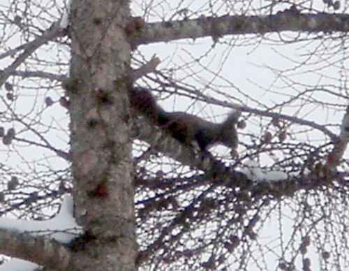 f0020302_11555129.jpg
