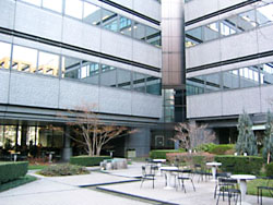 c0069903_756458.jpg