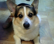 e0007313_13234792.jpg
