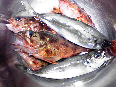 f0060214_1402495.jpg