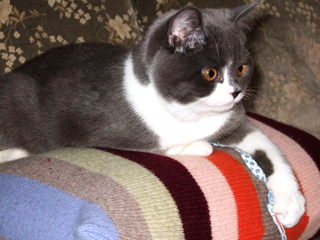 f0032020_13532876.jpg