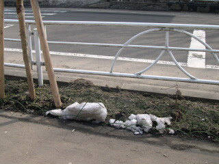 d0068023_23264227.jpg