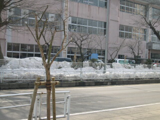 d0068023_23283585.jpg